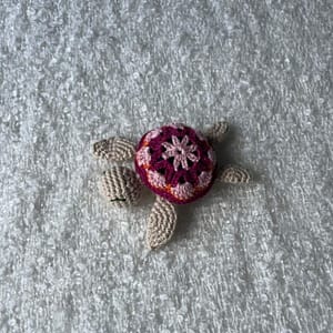 Tortue Rose 1