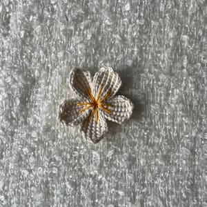 Fleur Frangipanier Face Mobile