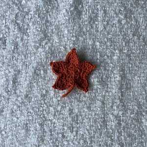 Feuille Orange Mobile Face