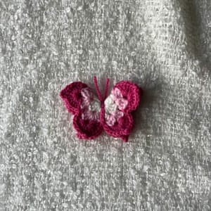 Papillon Mobile Face